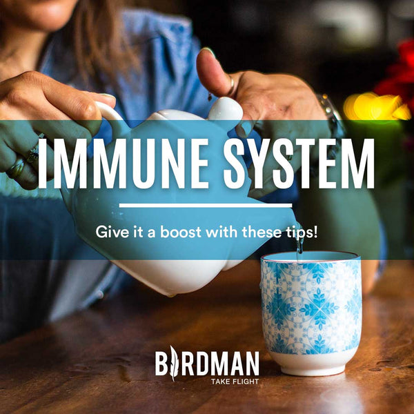 The Immune System and Epidemics