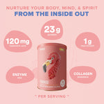 Fitmingo Plant Based Protein Powder - Vanilla Flavor - 1.12lbs