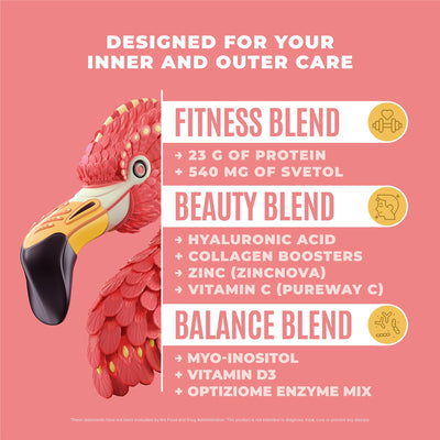 Fitmingo Plant Based Protein Powder - Vanilla Flavor - 2.24lbs