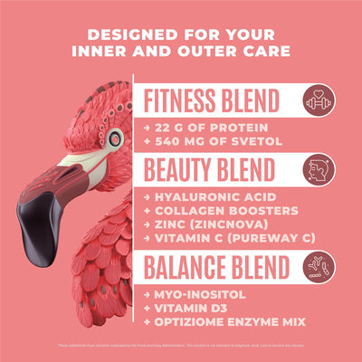 Fitmingo Plant Based Protein Powder - Mocha Flavor - 1.12lbs