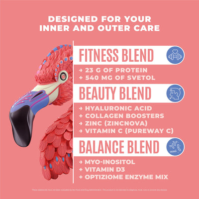 Fitmingo Plant Based Protein Powder - Blueberry Flavor - 1.12lbs