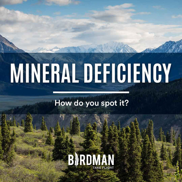 What's a Mineral Deficiency?