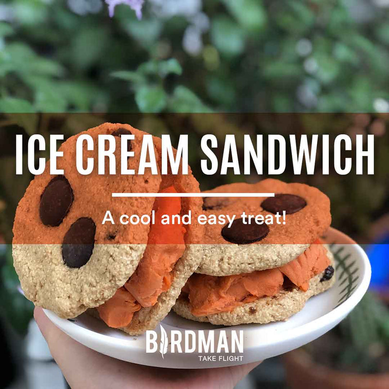 Homemade Ice Cream Sandwich
