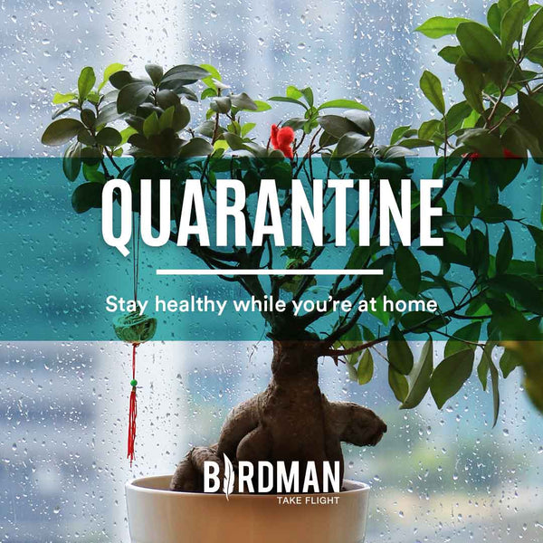 Stay Healthy During Quarantine!