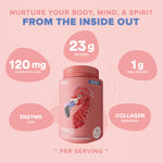 Fitmingo Plant Based Protein Powder - Blueberry Flavor - 2.24lbs