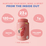 Fitmingo Plant Based Protein Powder - Vanilla Flavor - 2.24lbs