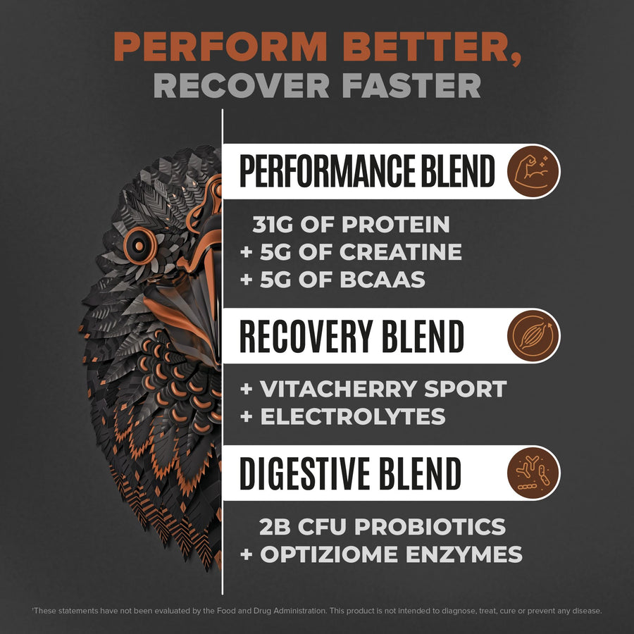 Falcon Performance Premium Sport Protein Powder with Creatine - Chocolate Flavor - 3lbs