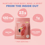 Fitmingo Plant Based Protein Powder - Vanilla Flavor - 3.3lbs
