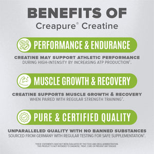 Premium High-Purity Micronized Creatine - 0.6lbs
