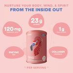 Fitmingo Plant Based Protein Powder - Blueberry Flavor - 1.12lbs