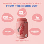Fitmingo Plant Based Protein Powder - Mocha Flavor - 2.24lbs