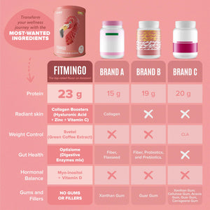 Fitmingo Plant Based Protein Powder - Vanilla Flavor - 1.12lbs