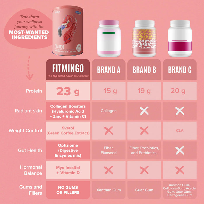Fitmingo Plant Based Protein Powder - Blueberry Flavor - 1.12lbs