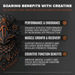 Falcon Performance Premium Sport Protein Powder with Creatine - Chocolate Flavor - 1.9lbs