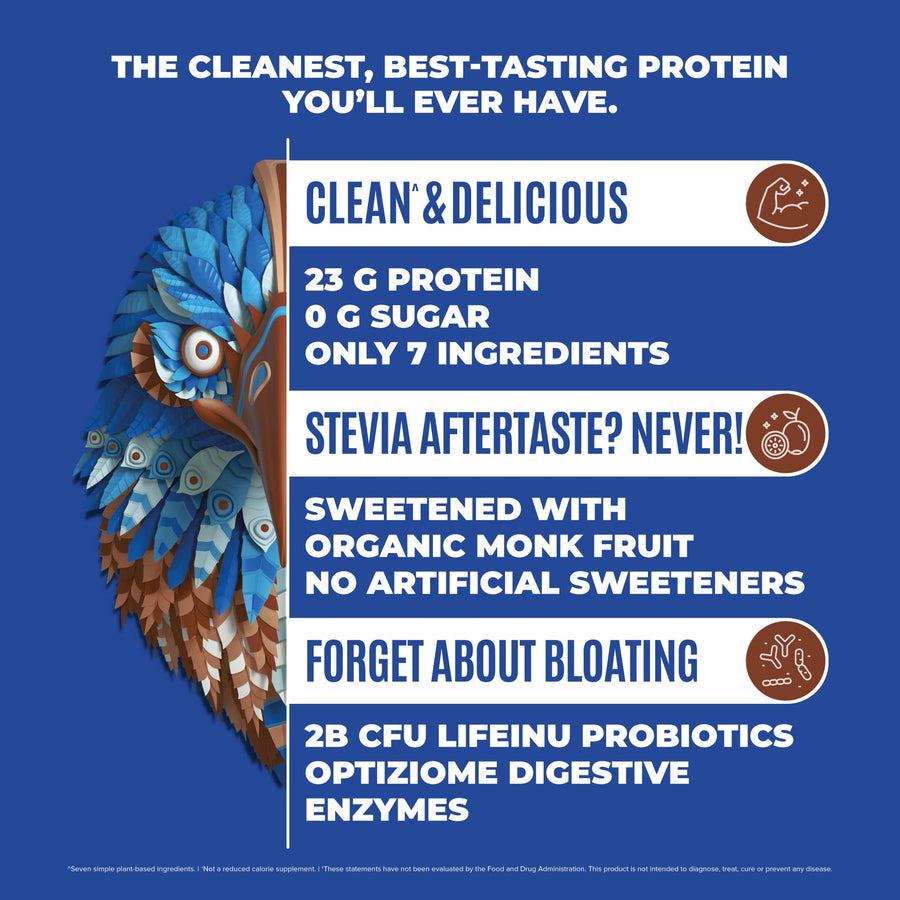 Falcon Protein Plant-Based Protein Powder - Chocolate Flavor -  2.64lbs PACK