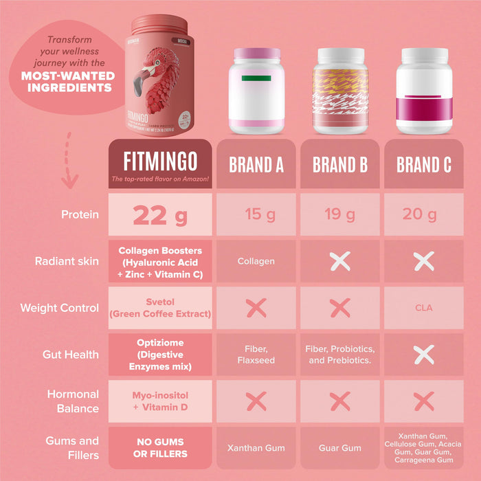 Fitmingo Plant Based Protein Powder - Mocha Flavor - 3.3lbs