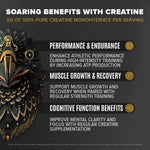 Falcon Performance Sport Protein Powder with Creatine - Vanilla Flavor - 1.89lbs