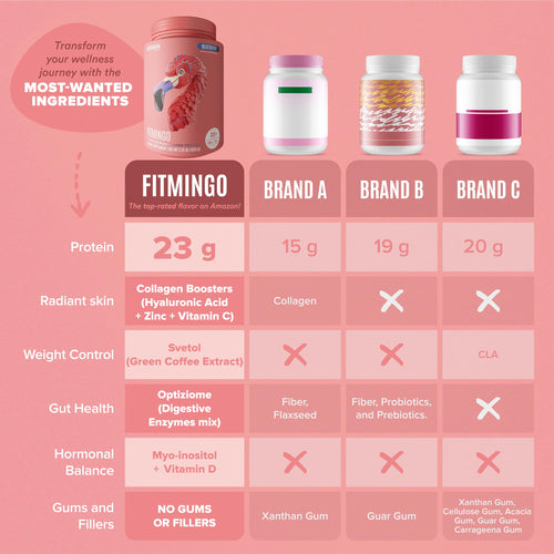 Fitmingo Plant Based Protein Powder - Blueberry Flavor - 2.24lbs