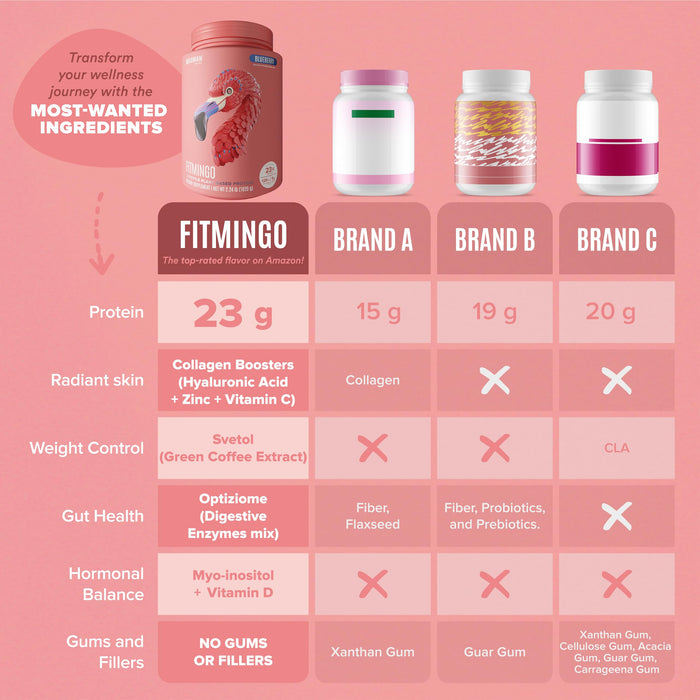 Fitmingo Plant Based Protein Powder - Blueberry Flavor - 2.24lbs
