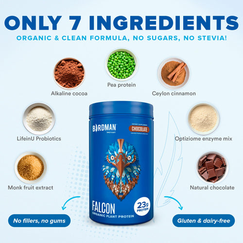 Falcon Protein Plant-Based Protein Powder - Chocolate Flavor -  1.32lbs