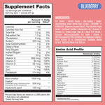 Fitmingo Plant Based Protein Powder - Blueberry Flavor - 1.12lbs