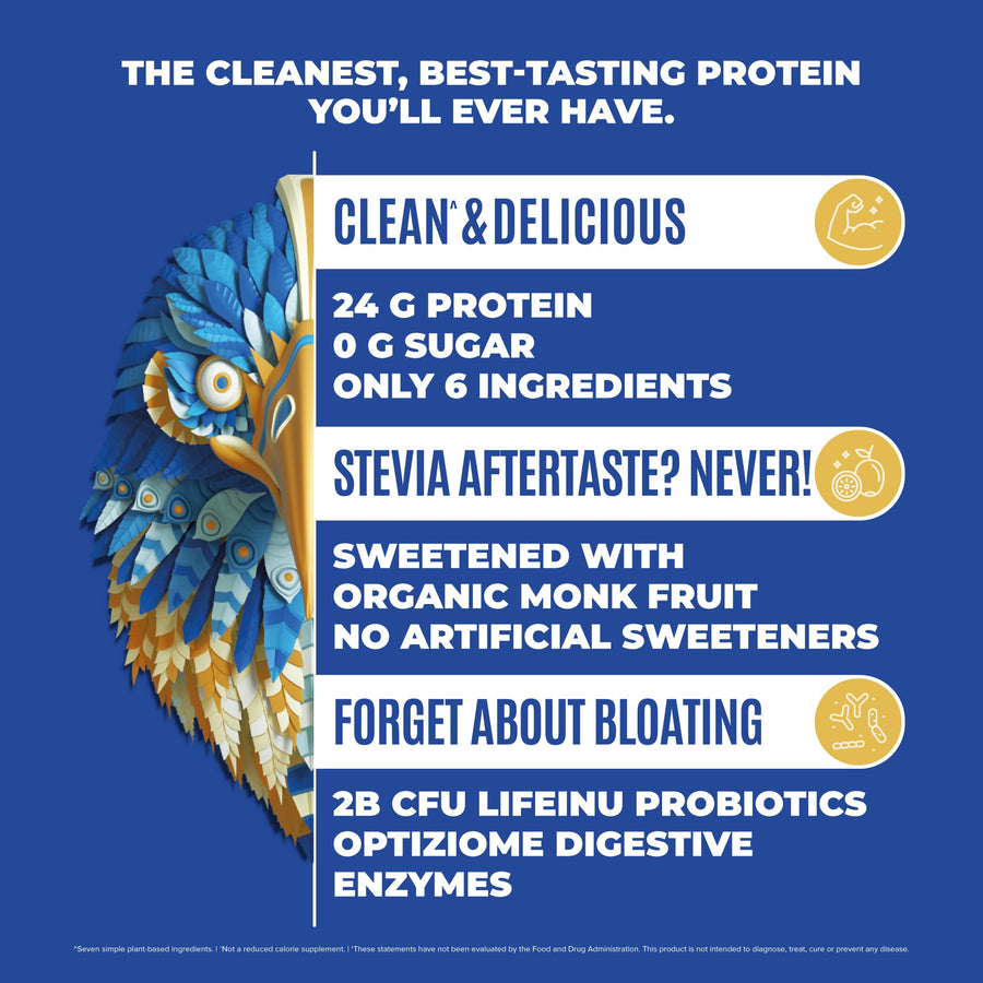Falcon Protein Plant-Based Protein Powder - Vanilla Flavor -  2.64lbs PACK