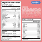 Fitmingo Plant Based Protein Powder - Blueberry Flavor - 3.3lbs