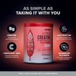 Creatine Refresher - Watermelon Splash - Bundle