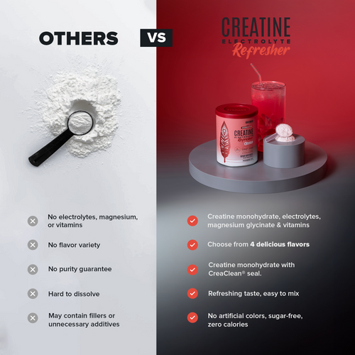 Creatine Refresher - Watermelon Splash - Bundle