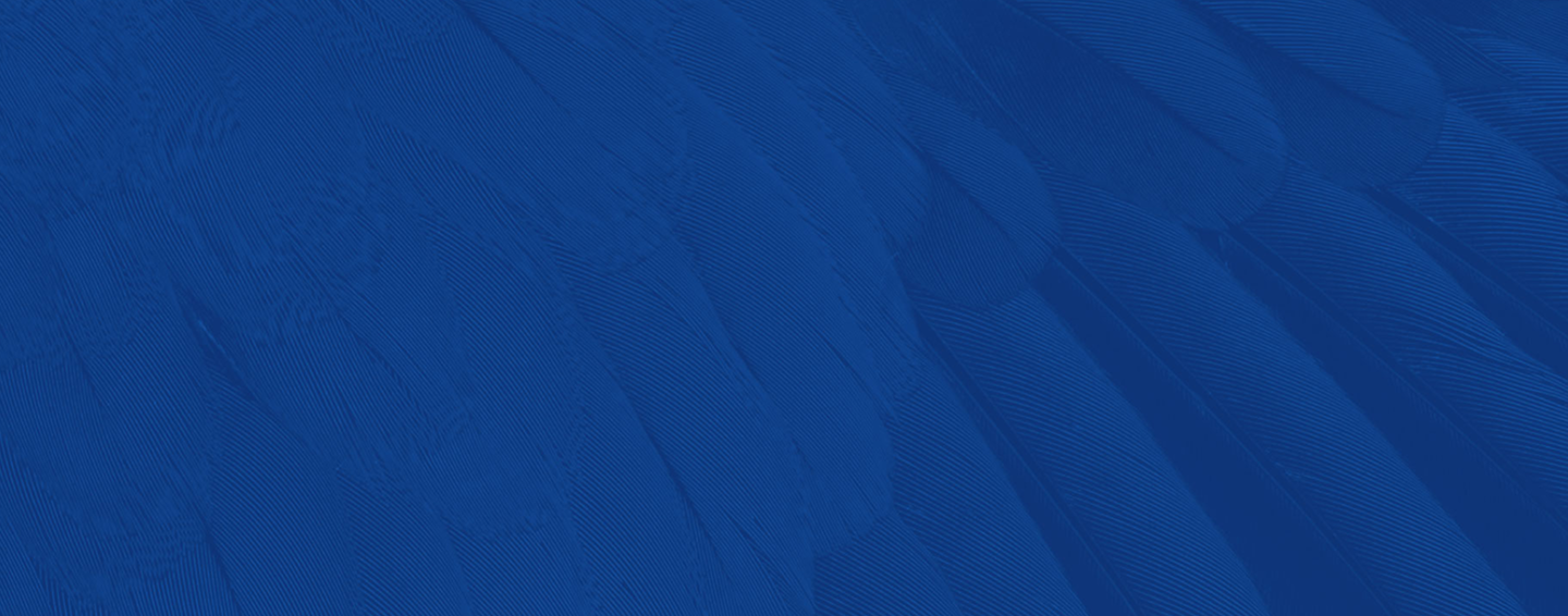footer background